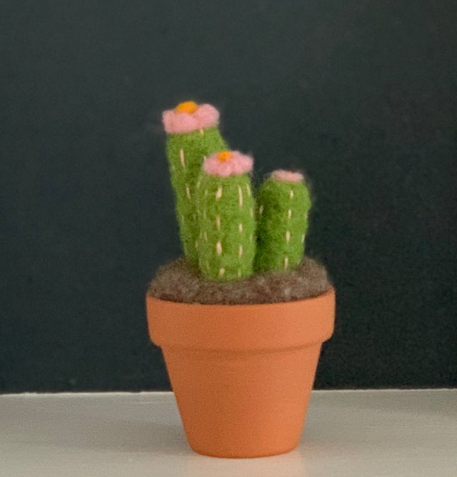 Terracotta Kit - Cactus